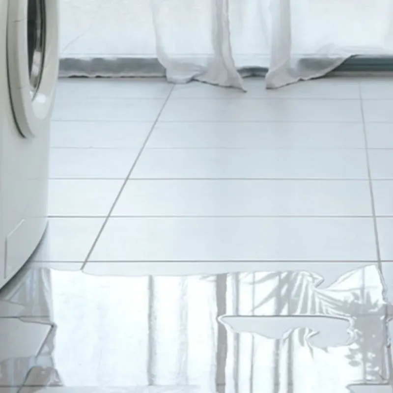 Appliance Leak Cleanup in Bear Lake County, ID