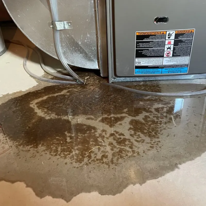 Pipe Burst and Leak Restoration in Bear Lake County, ID