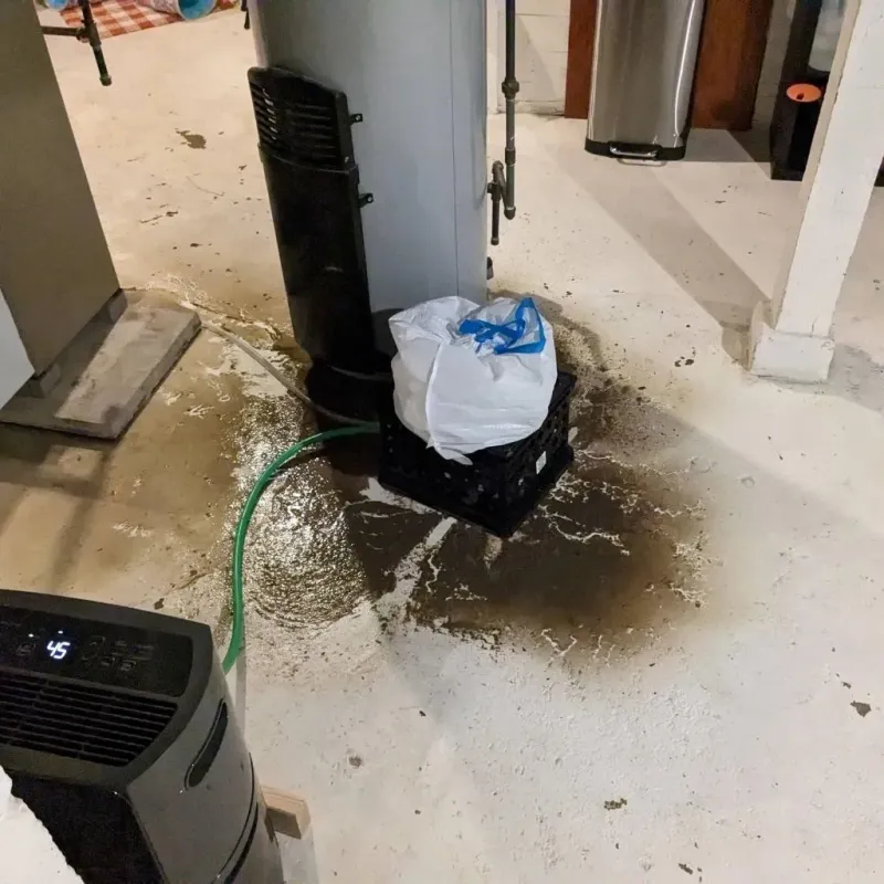 Sewage Backup Cleanup Service in Bear Lake County, ID